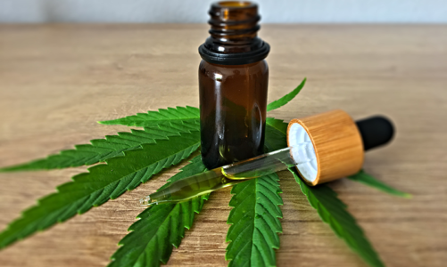 Things To Do When Looking For A CBD Oil Shop