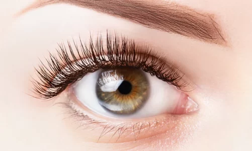 The Evolution of Eyelash Extensions: From Traditional to Volume Lashes