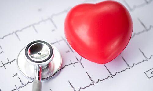 The Different Types of Heart Diseases: A Comprehensive Guide