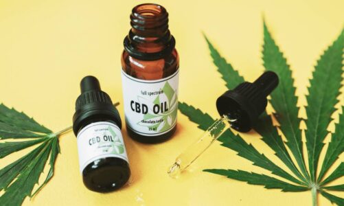 Why CBD oil is a beneficial addition to canine behavior modification plans?