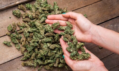 Budget-Friendly Weed Picks Under $40